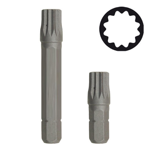 Bit 10mm zástrčný