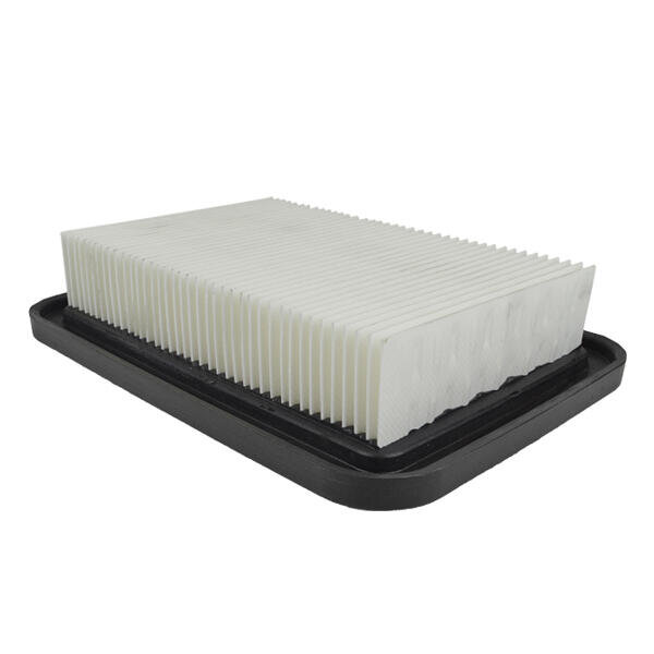 Filtr vysavače VC4210LX PTFE